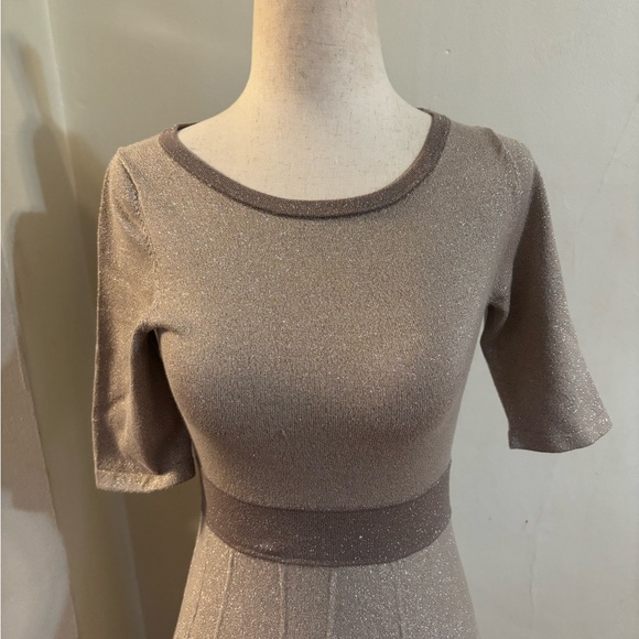 BODEN Milano Knit Sweater Dress Women Size 2R Fit Flare Gold Metallic Sparkle - Picture 3 of 5